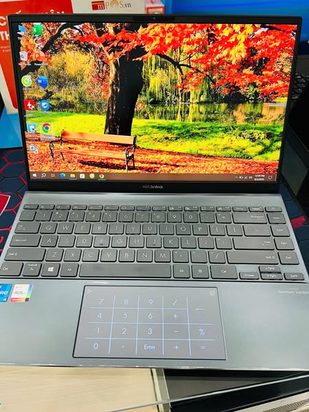 ASUS ZenBook UX425EA