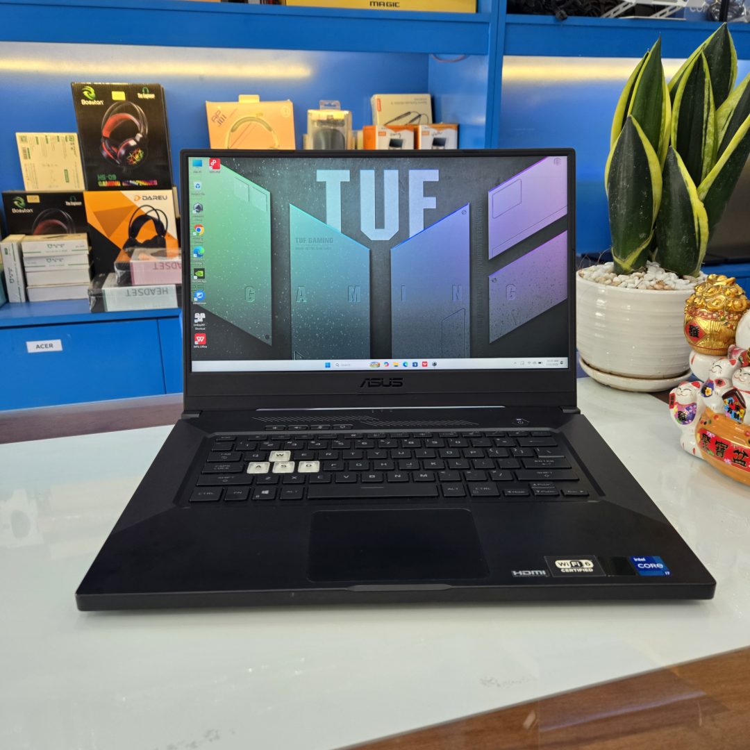 Asus TUF Dash F15 - FX516PM