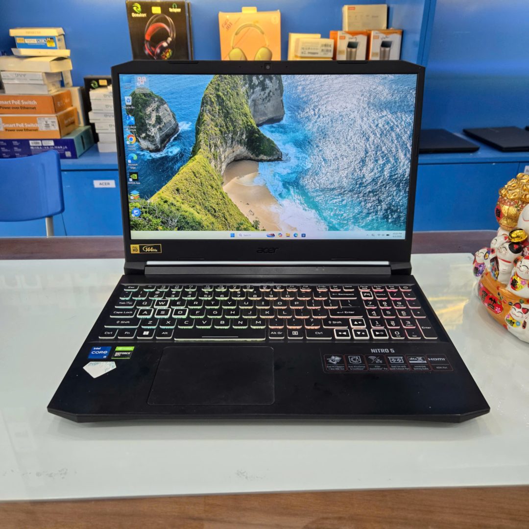 Acer Nitro 5 AN515-57