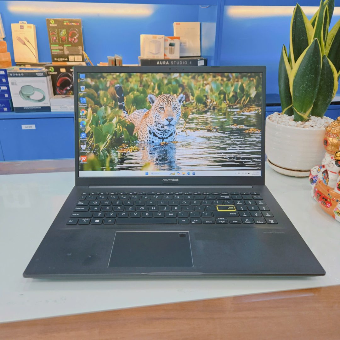 Asus Vivobook 15 X513EA